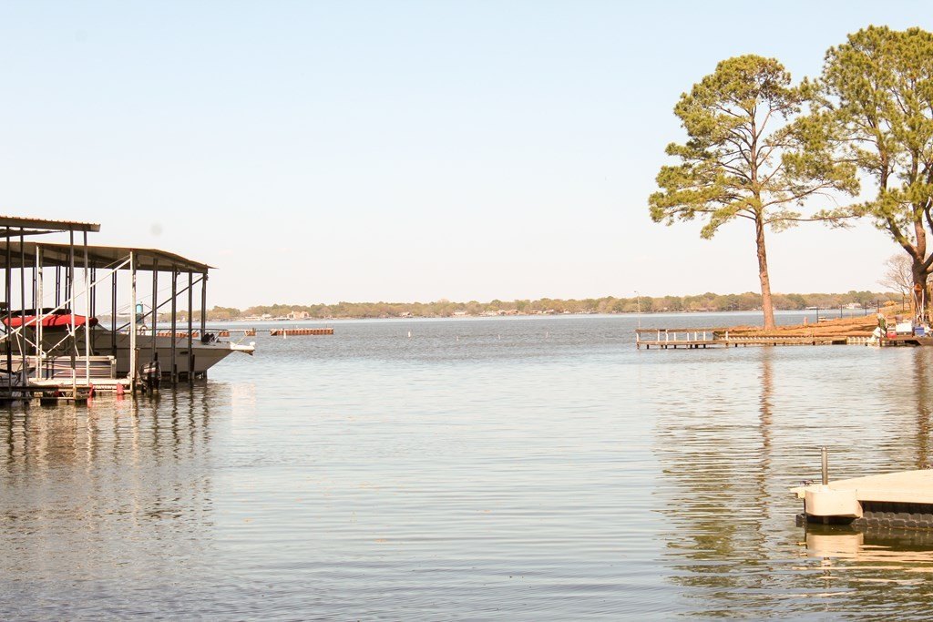 Picture 6
