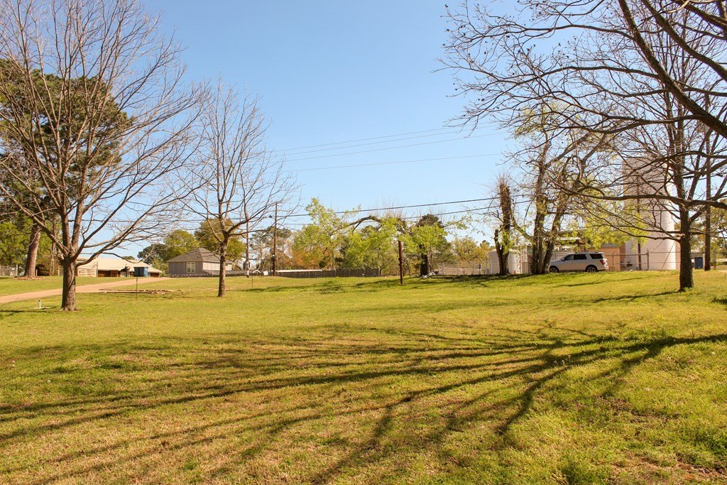 Picture 9