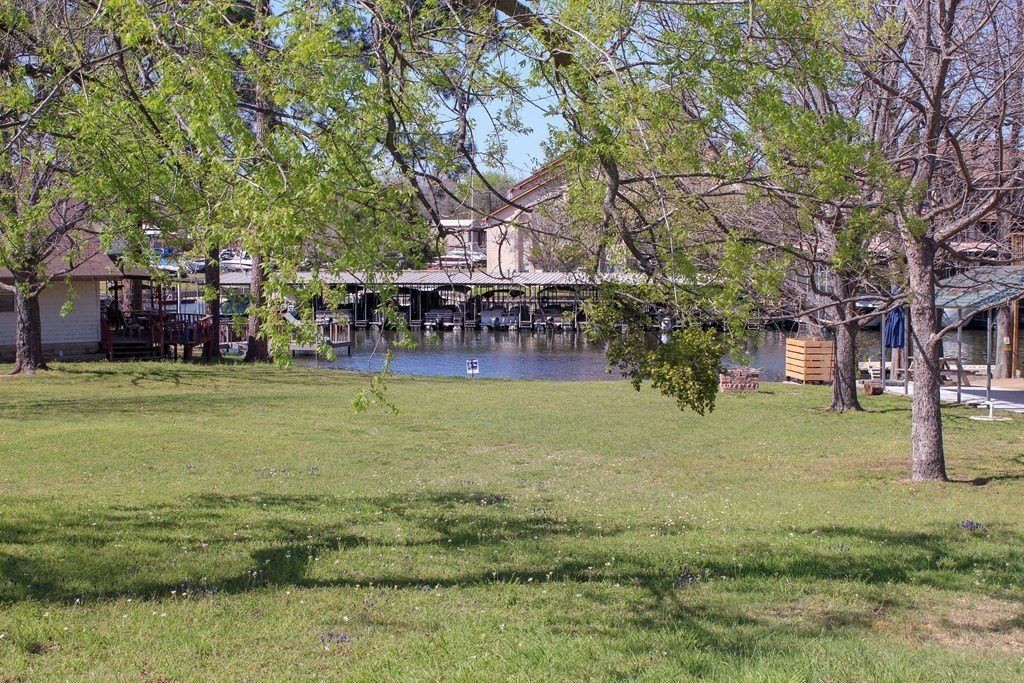 Picture 7