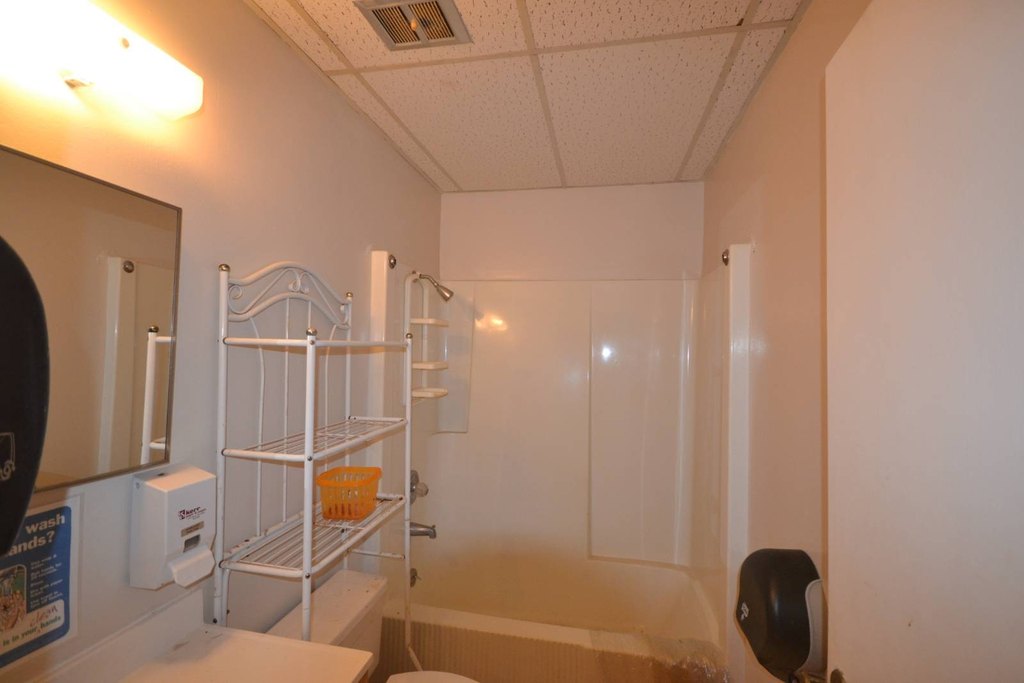 Picture 11