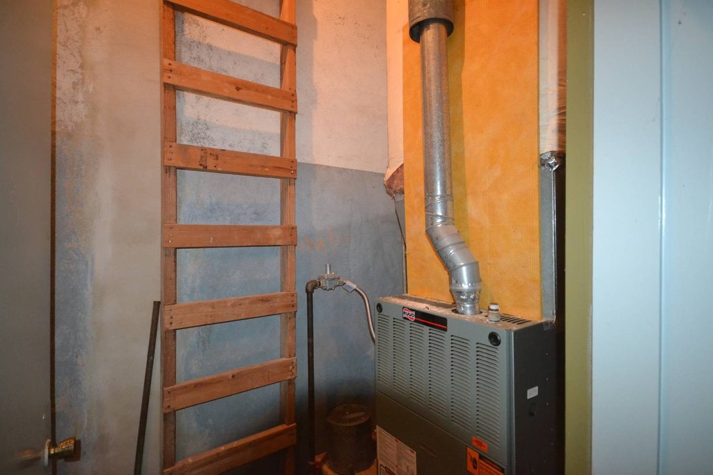 Picture 13