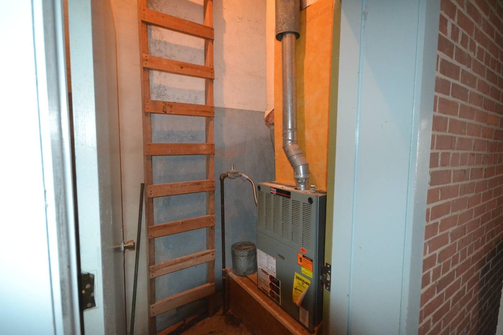 Picture 14