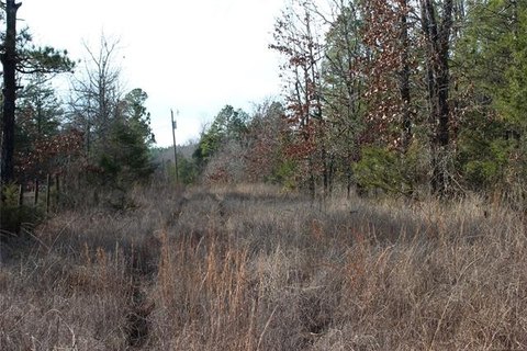 Mixed Forest Hunting Land
