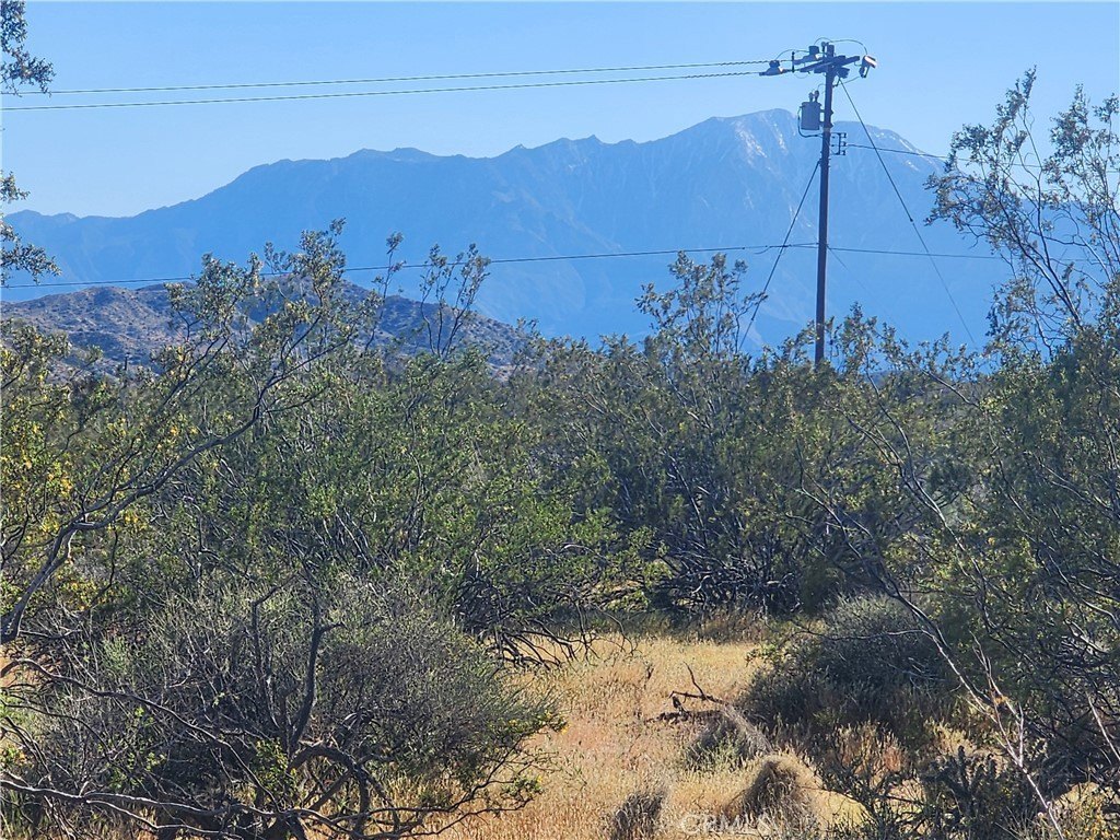 Picture 6