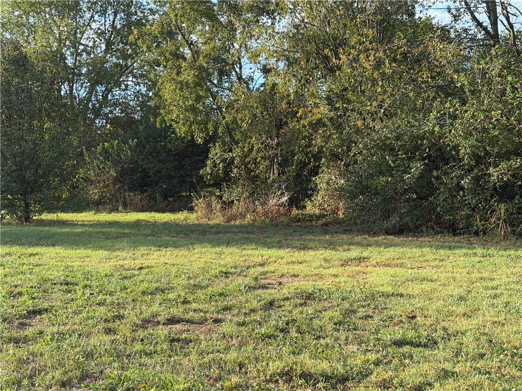 Picture 4