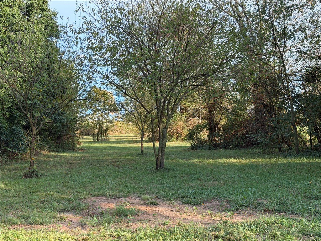 Picture 11