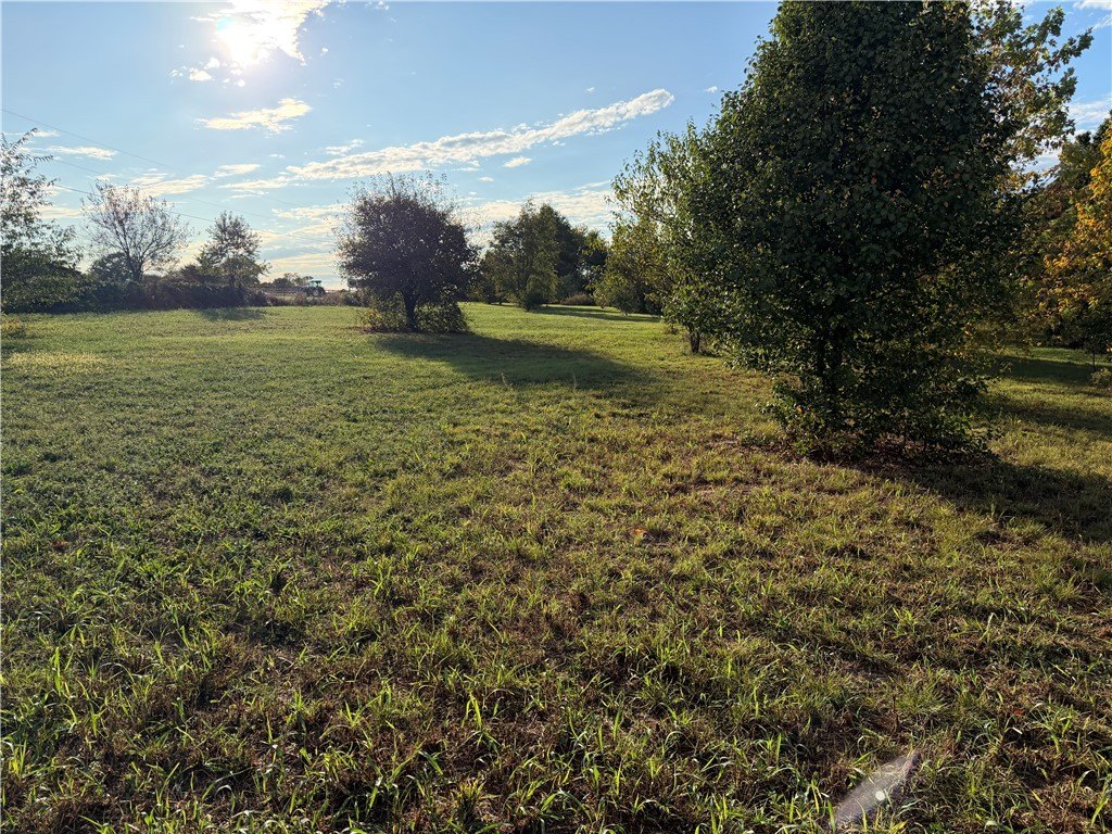 Picture 2