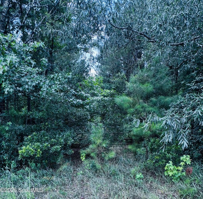 Picture 3