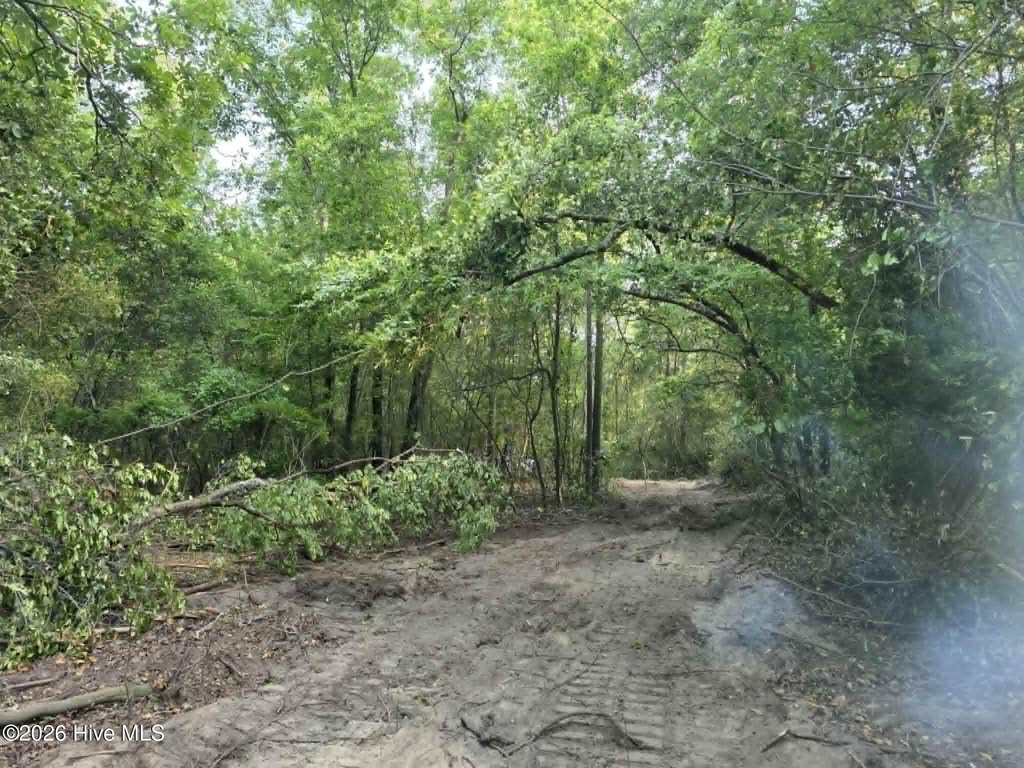 Picture 4