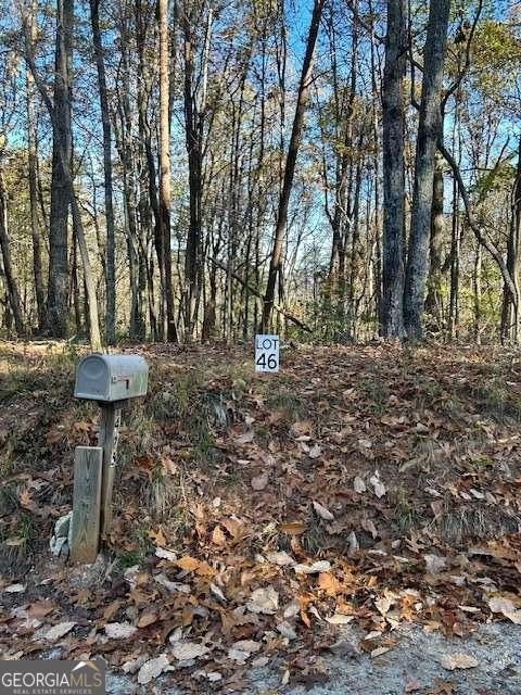 Dawsonville Land with Mountain Views