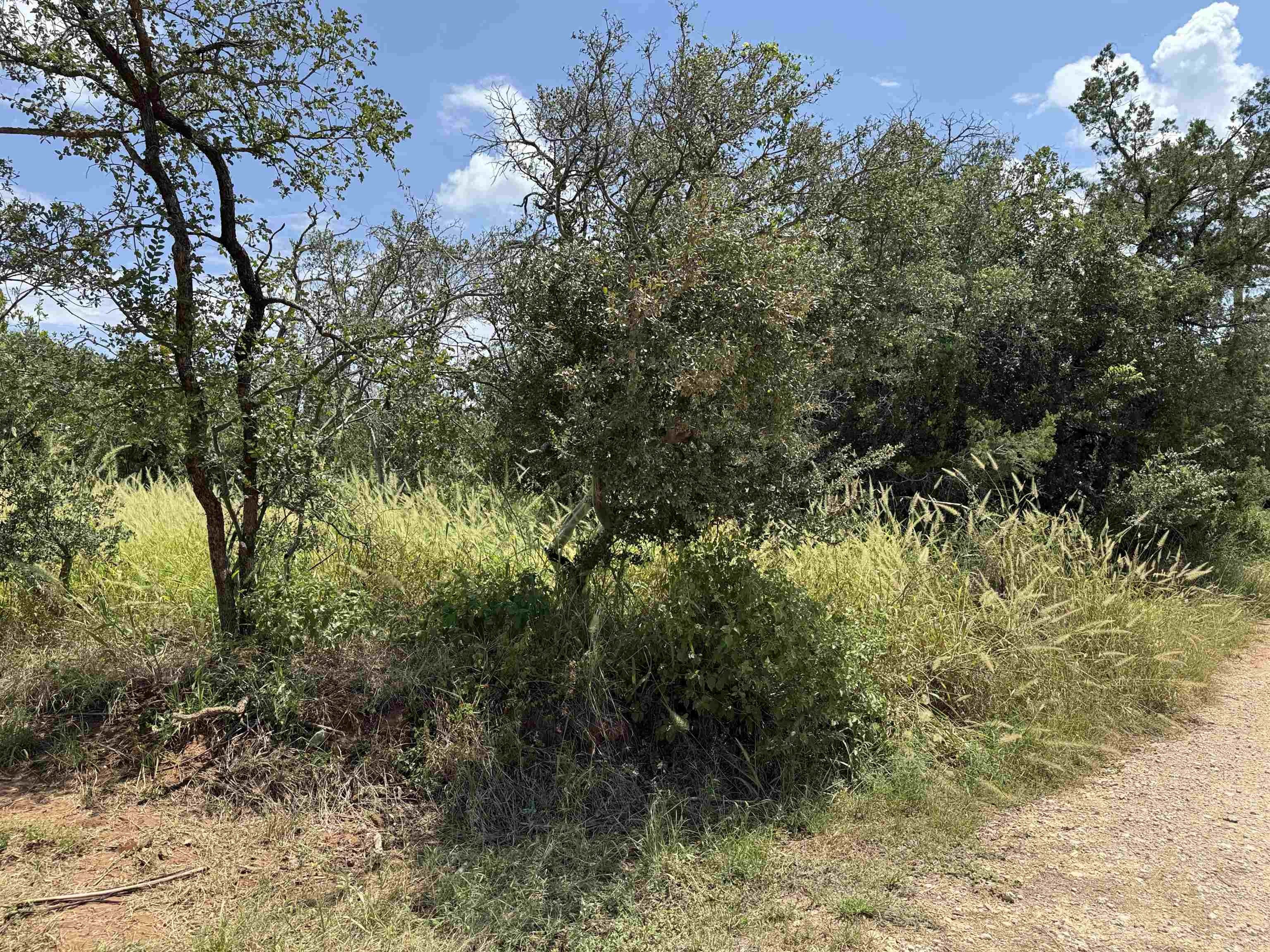Burnet, TX Land Opportunity