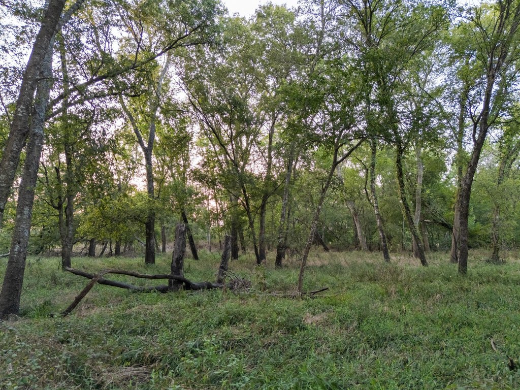 Picture 5