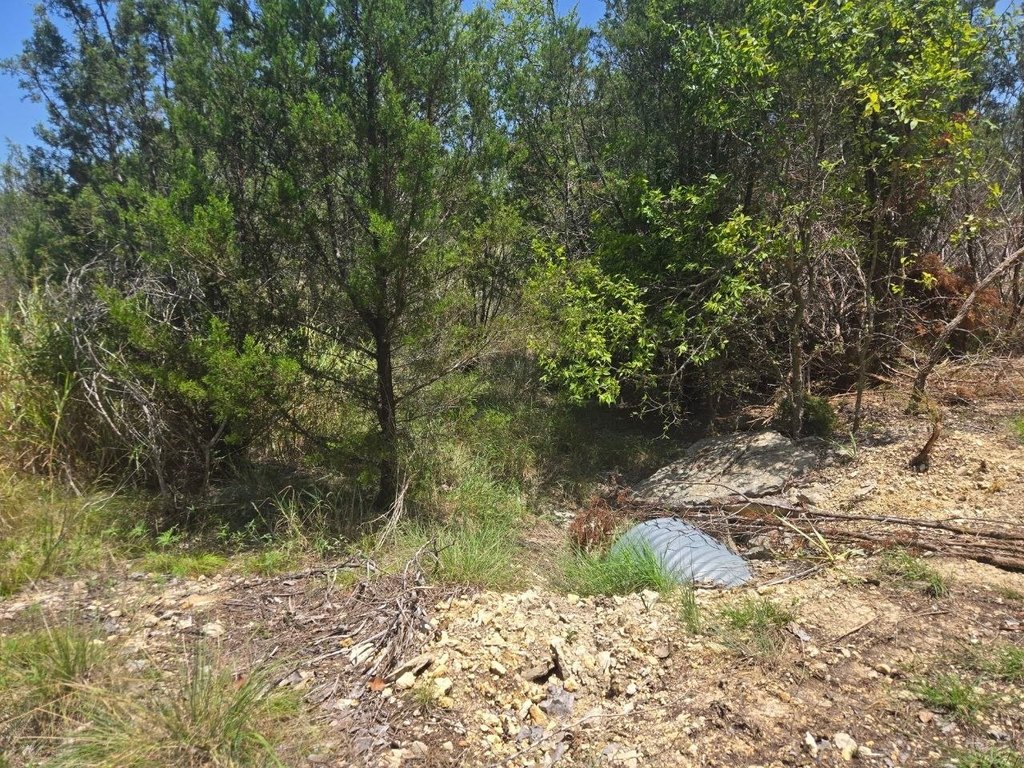 Picture 4