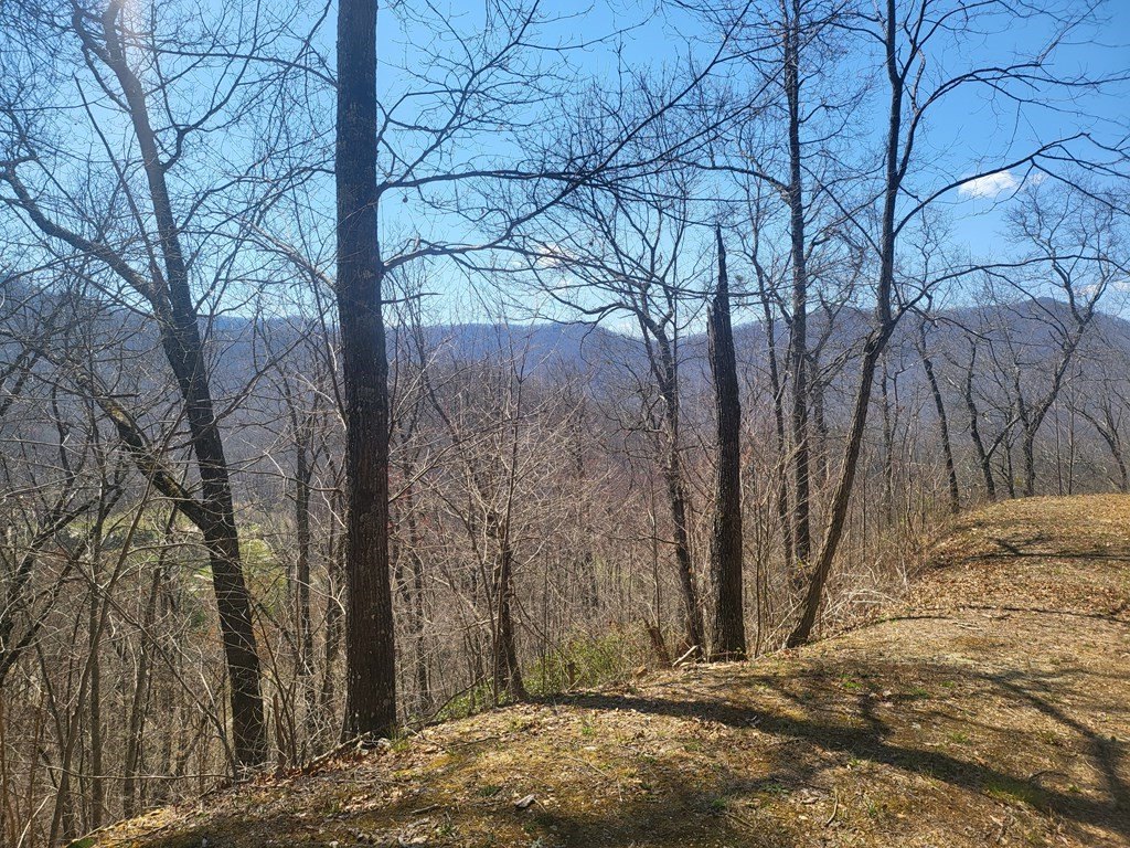 Picture 2
