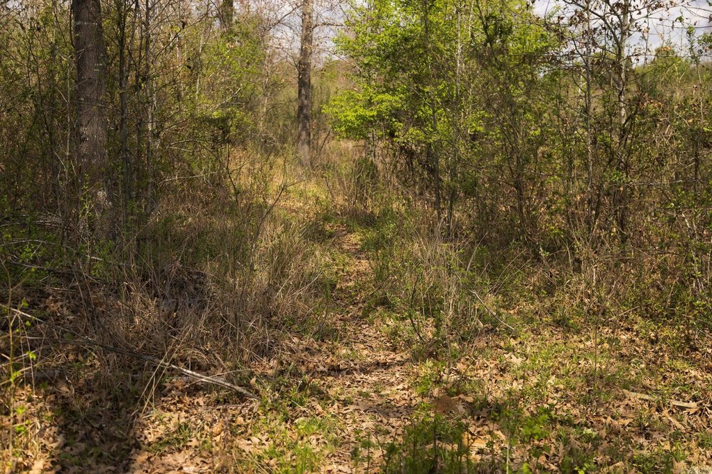 Picture 40