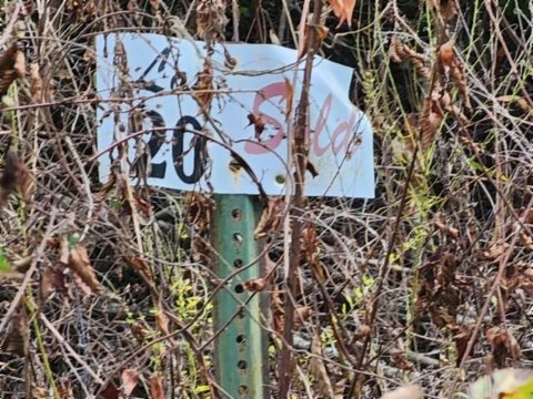 Jamestown, TN Land For Sale