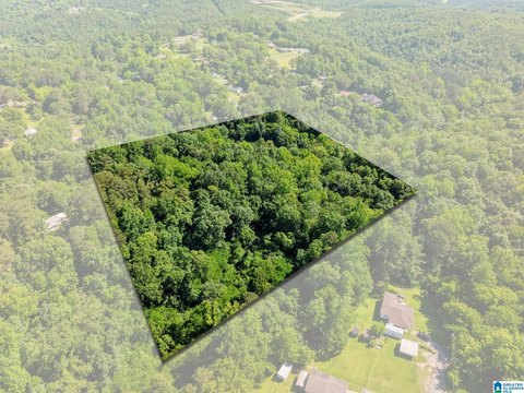 LAND/LOTS, GRAYSVILLE, AL