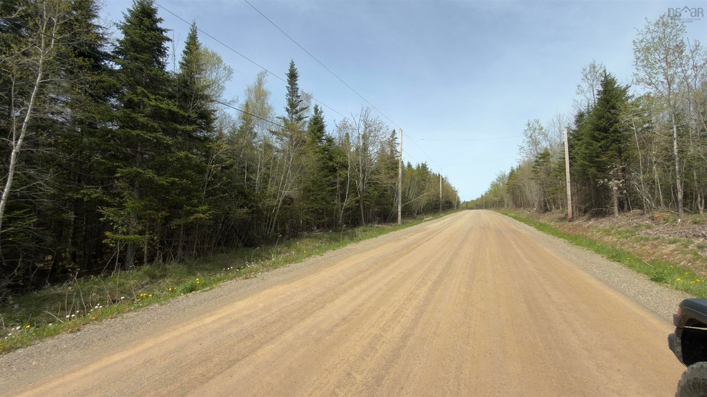 Picture 4