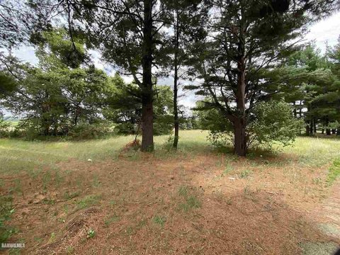 Thomson, IL Treed Lot