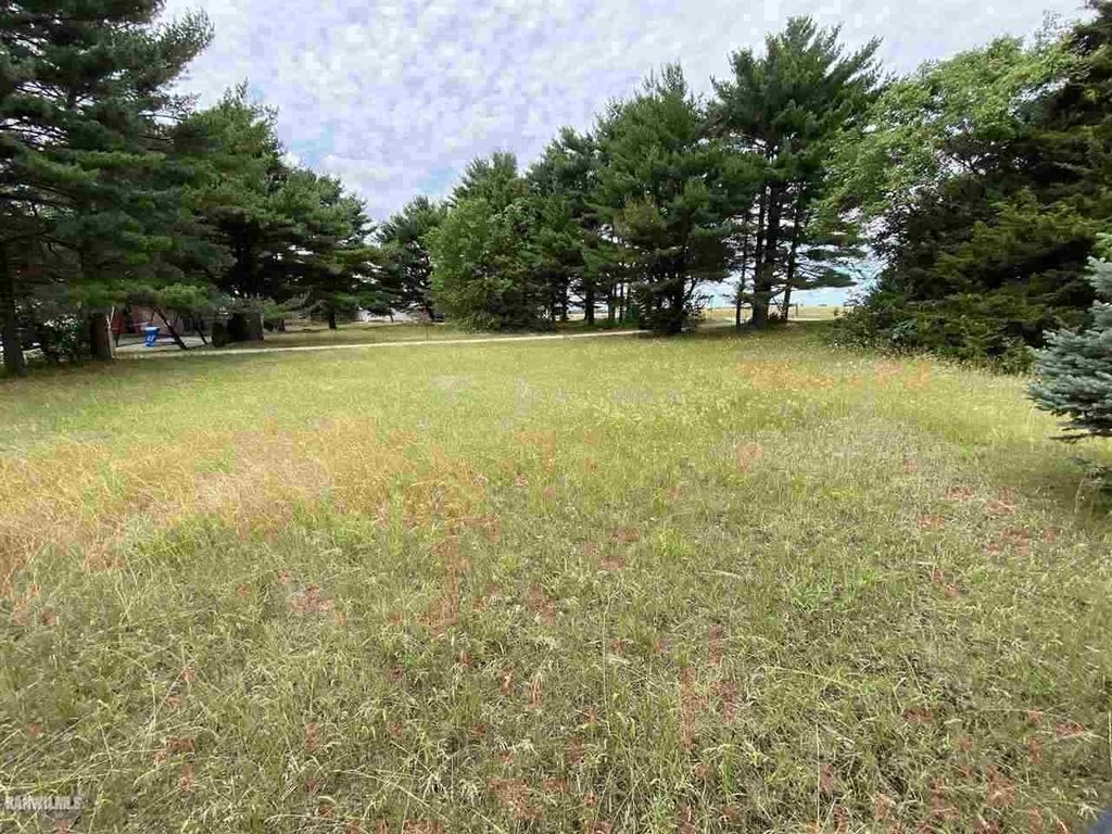 Picture 5