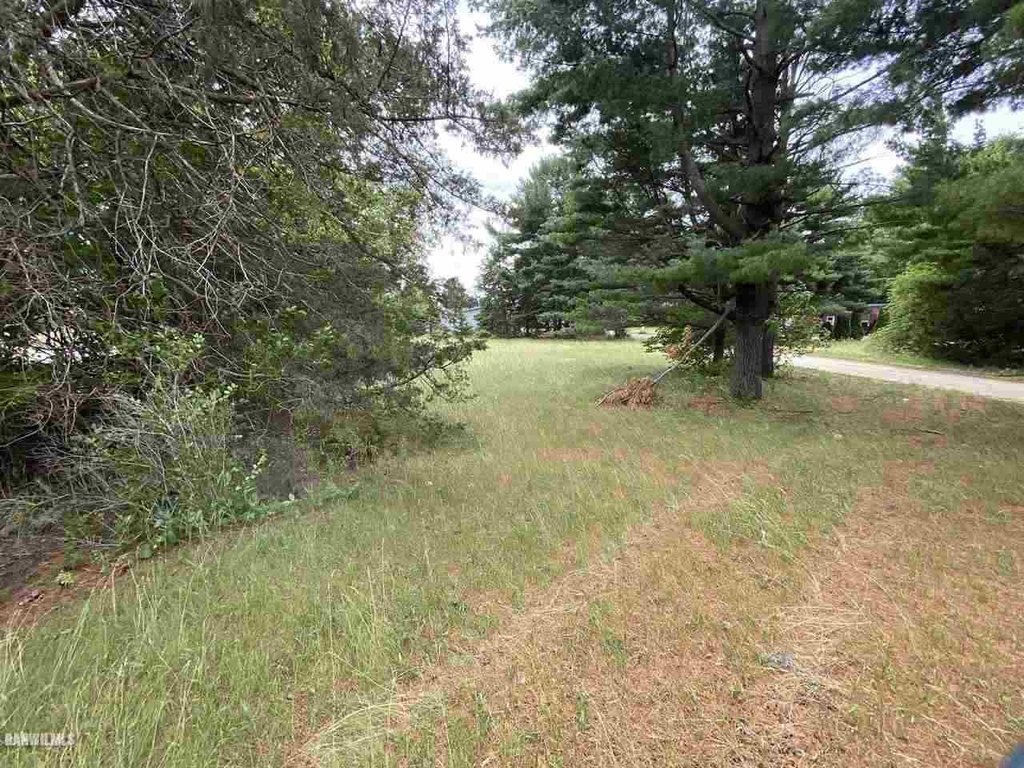 Picture 3