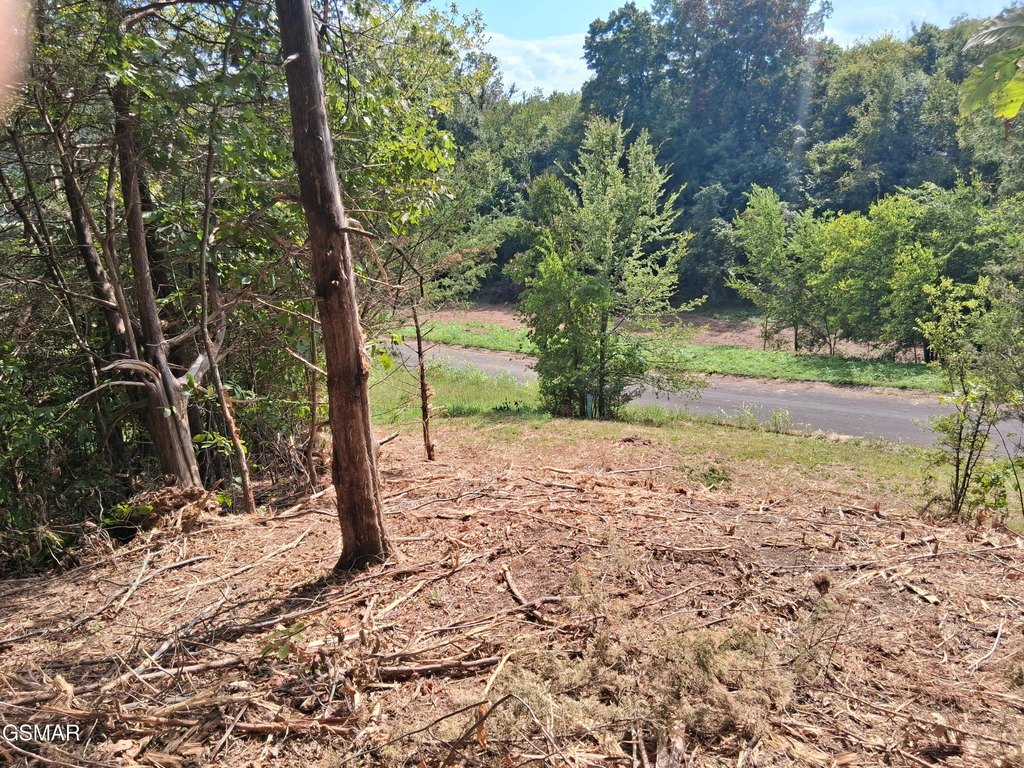Picture 2