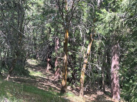 Lake Arrowhead Land Near SkyPark
