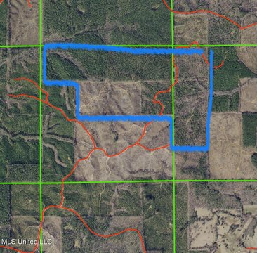 Secluded Land Investment Opportunity