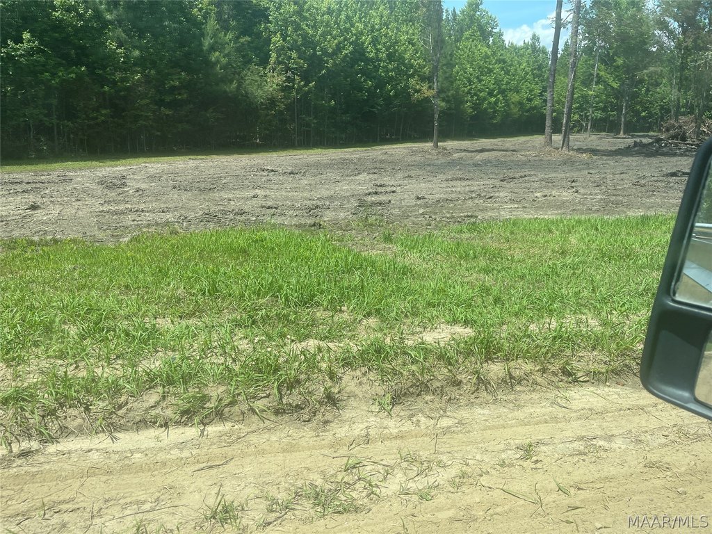 Picture 20