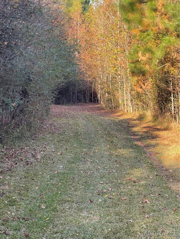 Picture 27
