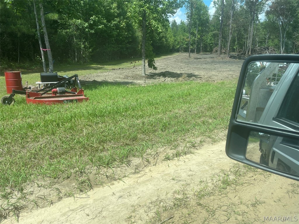Picture 12