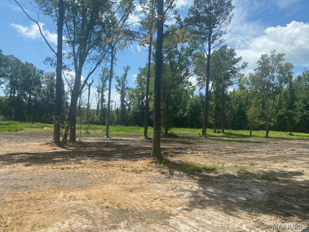 Picture 3