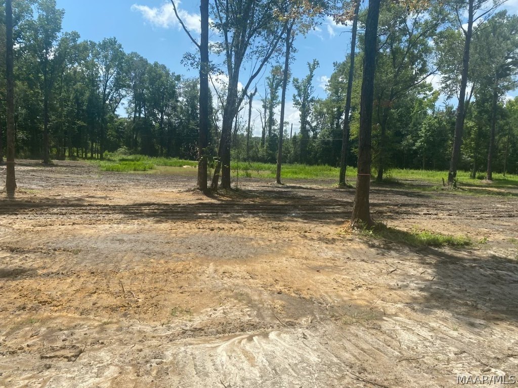 Picture 4