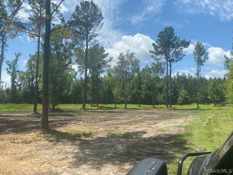 LAND - Slocomb, AL