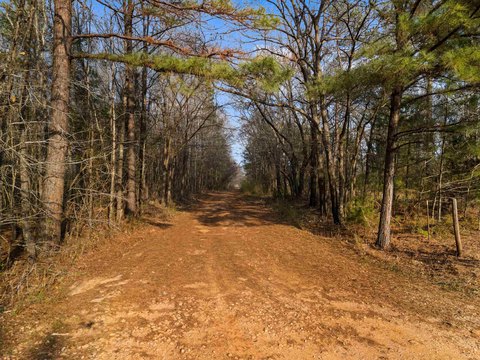 Kilgore Wooded Acres Homesite