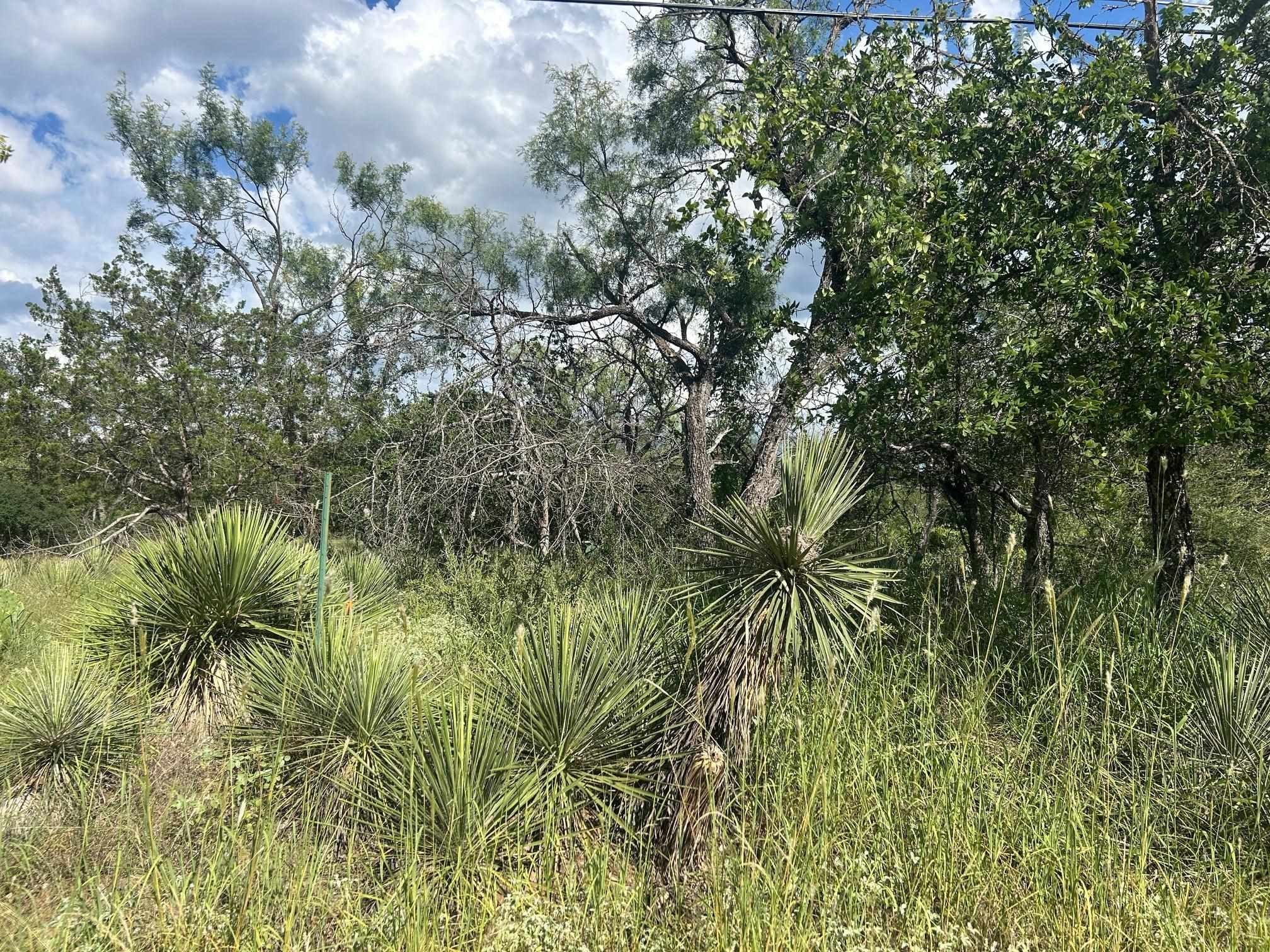 Residential Land in Granite Shoals
