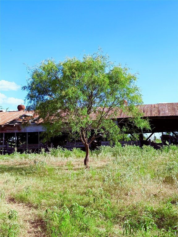 Picture 6