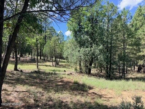 Land, Happy Jack, AZ
