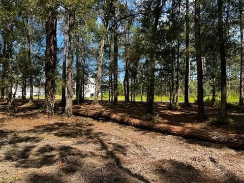 LAND - Madisonville, LA