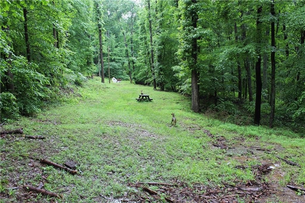 Picture 8