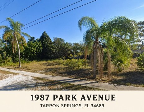 Land, TARPON SPRINGS, FL
