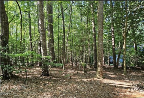 LAND - Sanford, NC