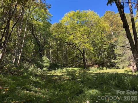 Cleared Residential Homesite in Subdivision