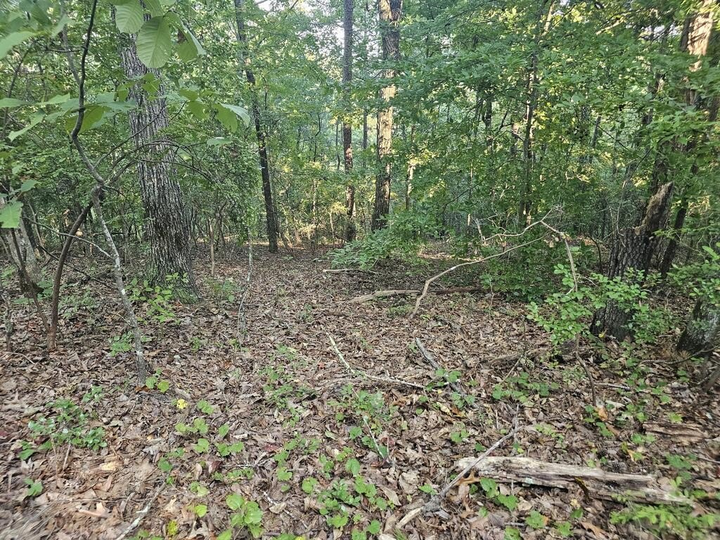Picture 21