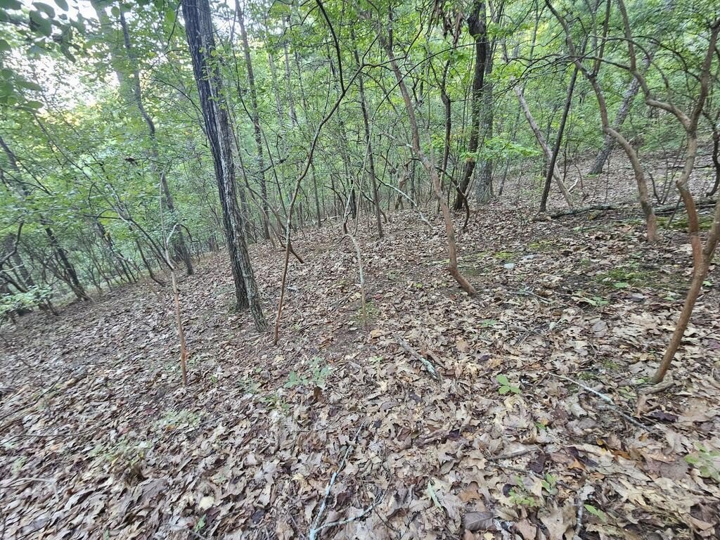 Picture 16