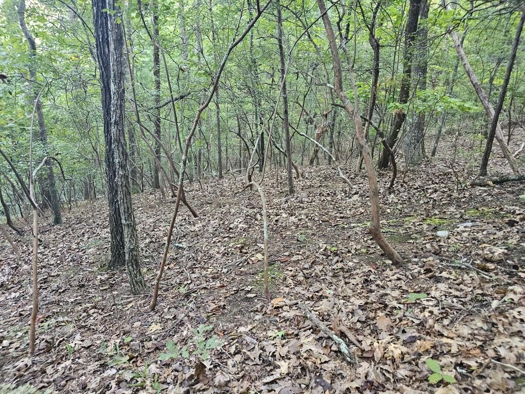 Picture 15