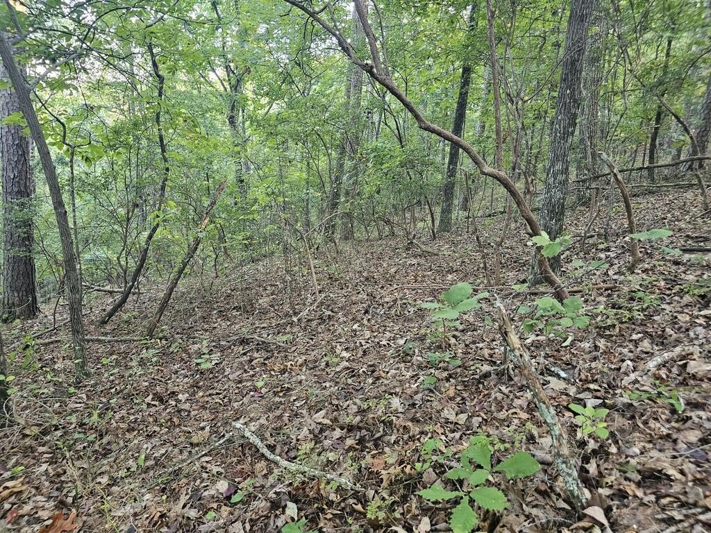 Picture 4