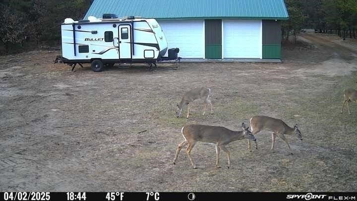 Picture 5