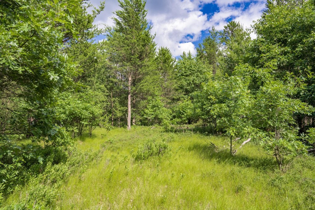 Picture 33