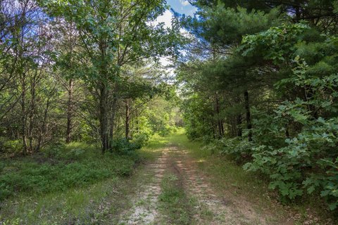 Recreational Hunting Parcel With Woods